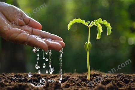 广州小区绿化土壤检测 绿化种植土壤检测