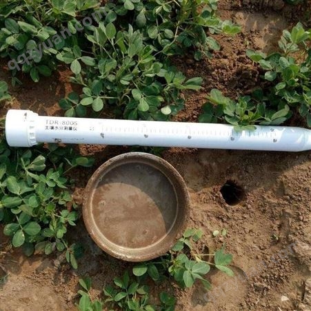 中农提供湖南土壤墒情监测设备 DX-860湘潭管式土壤墒情监测仪 中农智造