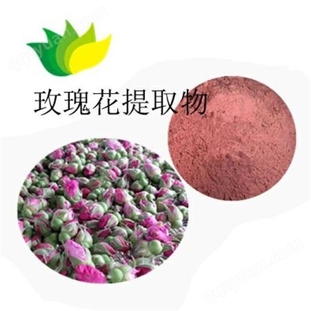 紫薯提取物 高提纯的植物提取物厂家 品质精粹