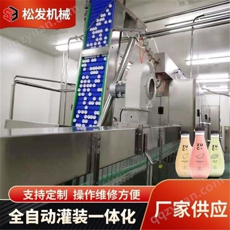 江苏小型果汁灌装机  36头全自动果汁饮料灌装机