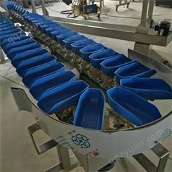 德工全自动料盒式牡蛎分拣机 多级重量分级机 托盘称重分选机