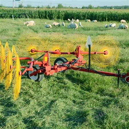 牵引式液压搂草机 牧草杂草专用搂草机厂家直供