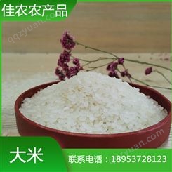 优质珍珠米 圆粒大米 米厂直销 量大优惠