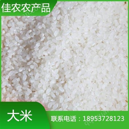 大米 鱼台珍珠米 圆粒大米 白米粥米 精选白米
