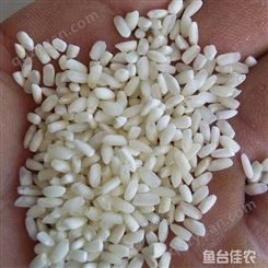 大量现货供应精选鱼台白米 食堂用米 鱼台佳农