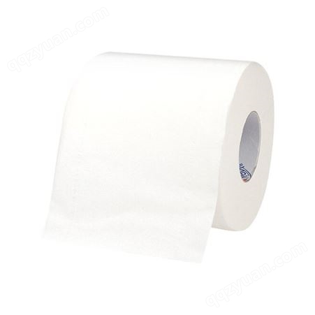 心相印纸巾 卫生纸家用商用实惠装200g 卷纸厕纸厕所手纸卷筒纸 心相印BT3110