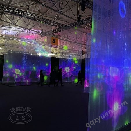 5d全息成像设备 大型艺术文化展览会 纱幕全息互动投影