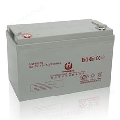 免维护铅酸蓄电池定做_输出电压|12VDC