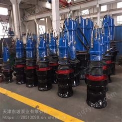 轴流泵图片-轴流泵型号参数-天津东坡泵业