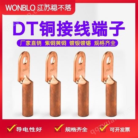 dt-20铜接线端子 全铜接线鼻子 多规格可选 稳不落