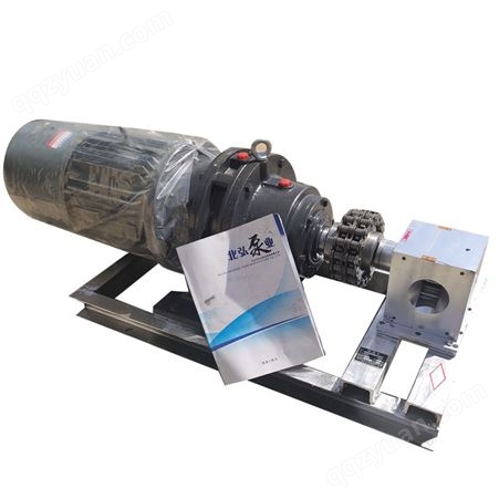 供应RT50CC耐高温热熔胶泵 电加热耐磨熔体泵 胶水计量泵