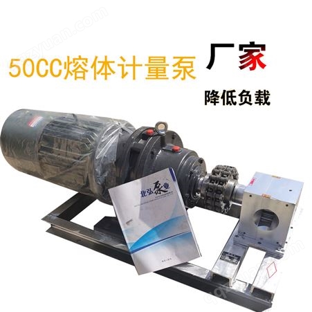 供应RT50CC耐高温热熔胶泵 电加热耐磨熔体泵 胶水计量泵
