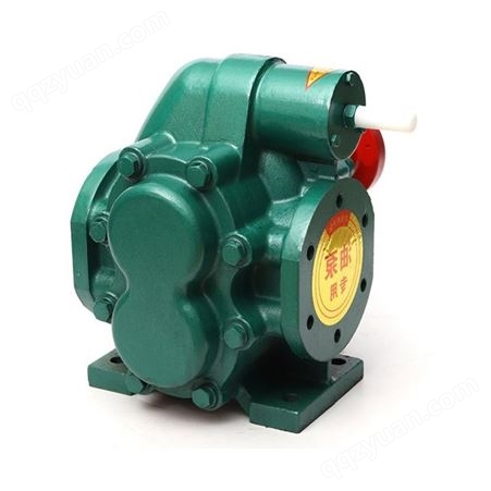 北弘供应KCB200铸铁齿轮泵泵头 KCB齿轮油泵 三相耐高温抽油泵卸油泵