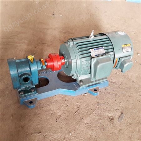 供应2CY系列齿轮泵 电动型泵 不锈钢油泵常用泵之一