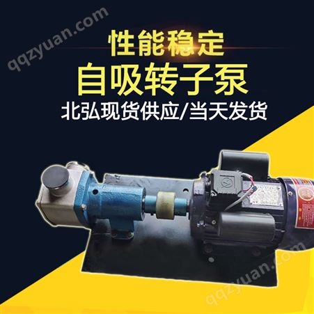 供应挠性转子泵 耐腐蚀泵 食品卫生泵 豆浆泵