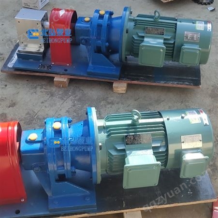 生产RT热溶胶泵 挤出机熔体泵 齿轮式计量泵 电加热泵