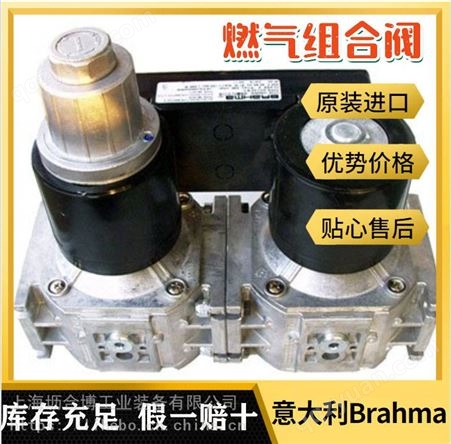 Brahma巴拿马电磁阀EG30*SR2 GMO燃气阀 坜合博工业