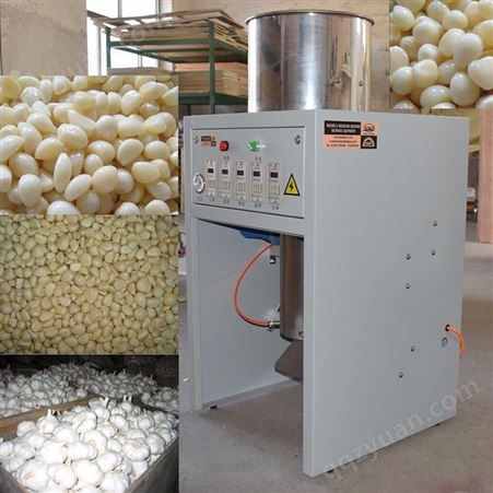 工厂推出多功能大蒜去皮机 商用蒜米分瓣机