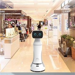 访客登记机器人供应商-智能问答机器人出售-商用机器人价格