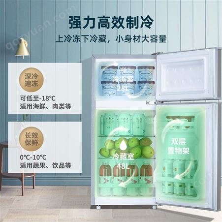 新飞小冰箱家用小型双门冰箱节能宿舍租房用三开门冷藏冷冻电冰箱