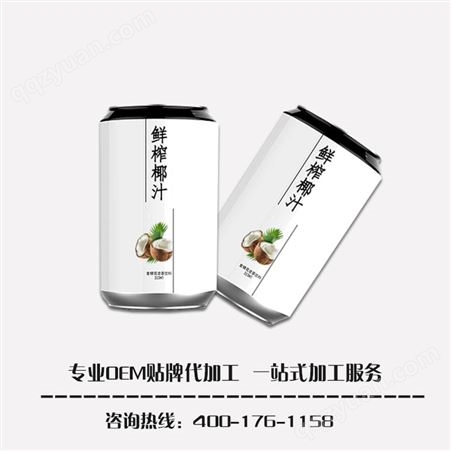 名启 综合罐装果汁oem贴牌代加工  易拉罐水果口味饮料  配方定制 包装定制