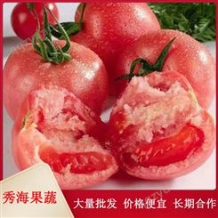 农家种植西红柿 拒绝添加剂 自然成熟 人工挑选