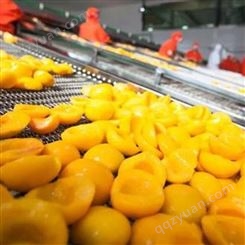 特产 可加工 水果黄桃罐头 新鲜黄桃加工 巨鑫源优质食品