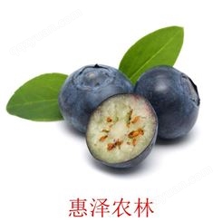 健康优质大蓝莓 椭圆形蓝莓 兔眼蓝莓