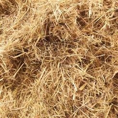 边坡草纤维 嵩杰草纤维 草纤维提高出芽率 现货供应