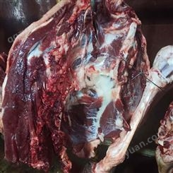 冷冻生驴肉厂商出售 茂隆驴肉加工厂