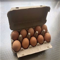 10枚鸡蛋保护托-卓尔纸塑-出售批发-环保可降解