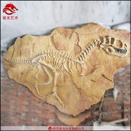 原角翼龙肿头龙迅猛龙化石块儿童沙坑考古发掘仿真恐龙玻璃钢化石