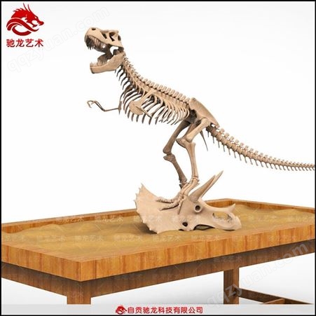 恐龙发掘考古骨架厂家儿童乐园考古卓恐龙化石骨架模型售卖公司