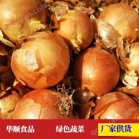 红皮洋葱黄皮葱头 用于菜市场出售 蔬菜招商 华顺食品