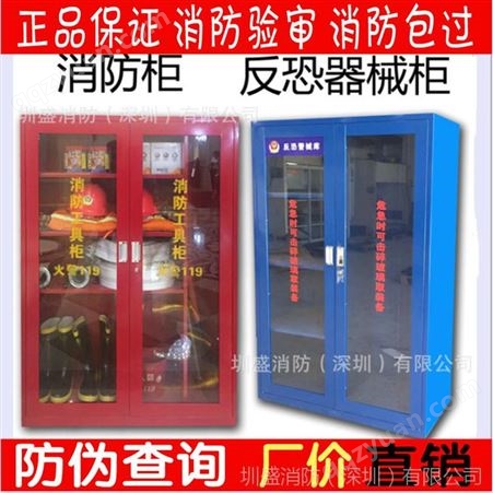 微型 柜 警械柜 龙岗装备柜 消防器材柜 消防防暴柜