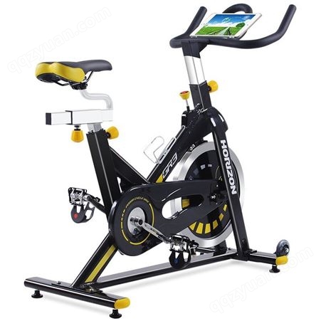 美国乔山动感单车GR3家用室内运动自行车健身器材健身单车 GR3