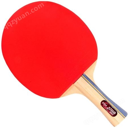 红双喜DHS E-E202横拍乒乓拍 双面反胶乒乓拍 健身型（附带拍套，单块装）