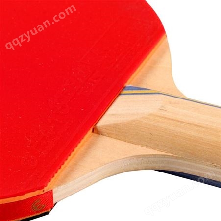红双喜DHS E-E202横拍乒乓拍 双面反胶乒乓拍 健身型（附带拍套，单块装）