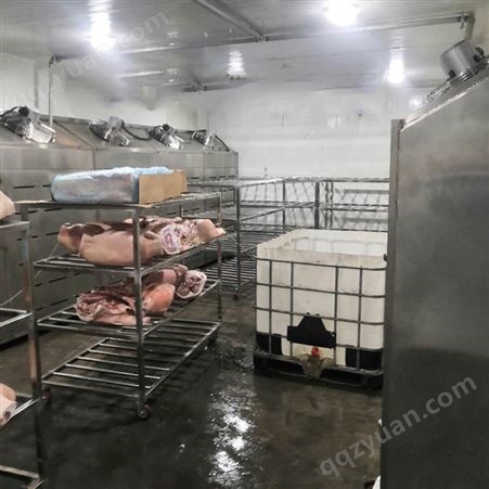 大型牛肉四分体解冻库设备 隆力达低温高湿肉类解冻机