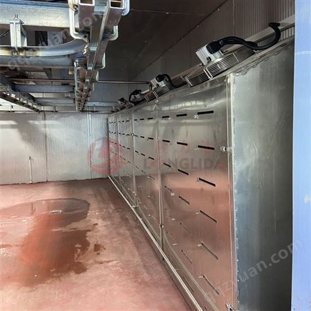 大型牛肉四分体解冻库设备 隆力达低温高湿肉类解冻机