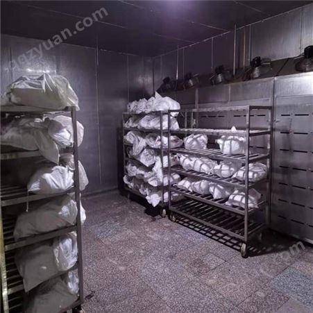 缓化解冻设备 食品解冻设备 冻肉解冻机 隆力达供应厂家