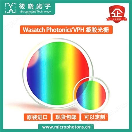 Wasatch透射式凝胶光栅高品质性价比高
