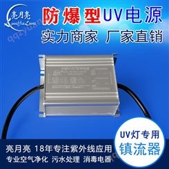 电子镇流器防爆防水型180W紫外线灯用废气水处理UV杀菌灯电源