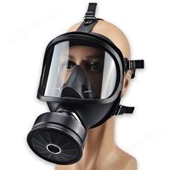 汛辰消防救援器材自吸过滤式防毒面具防毒防水头戴式罩防护面具