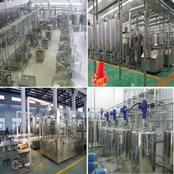 ZYL提供 蛋白复合饮料加工设备 复合饮料灌装生产线厂家 中意隆