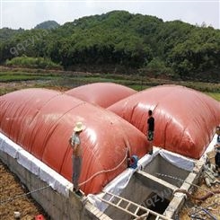 润龙软体沼气袋 可移动沼气池 优质PVC高质量家用沼气设备加工定制