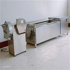 斯格数控毛辊清洗机 清洗黄桃猕猴桃 SG-1500型 直销厂家
