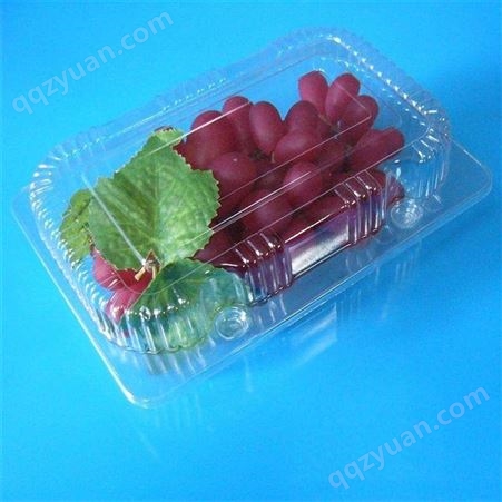 圣女果水果包装盒定制 圣女果水果吸塑盒加工 创阔 一次性保鲜盒定做