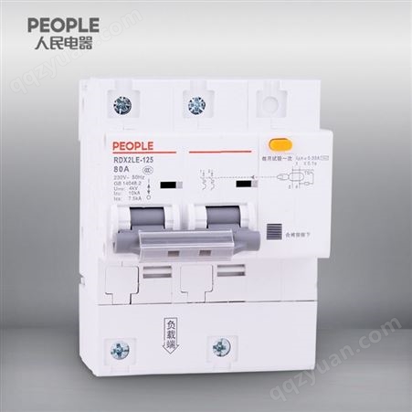 中国人民电器旗舰店RDX2LE-125 100 2P系列剩余电流动作断路器