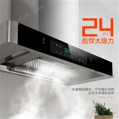 大吸力自动清洗抽油烟机壁挂抽烟机家用侧吸式厨房吸油烟机
